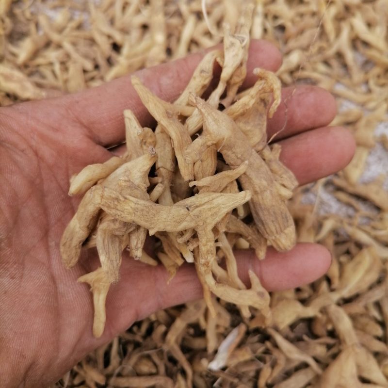纯野生玉竹整条发货，当季新货初级产品量大从优，产地直发野
