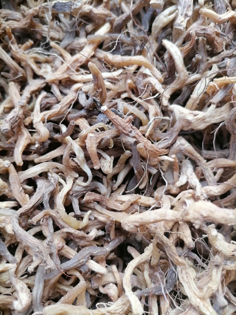 纯野生玉竹整条发货，当季新货初级产品量大从优，产地直发野