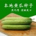 本地王黄瓜种子早熟耐老肉质脆甜