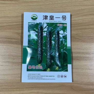 津皇一号