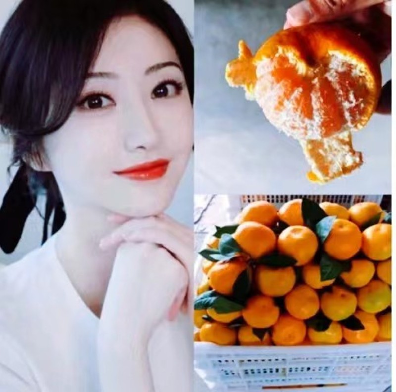 汉中柑桔特早小叶蜜橘日供二十万斤全国发货打蜡分级产地