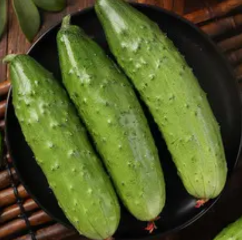 津皇水果黄瓜种子皮绿肉厚口味清香脆甜