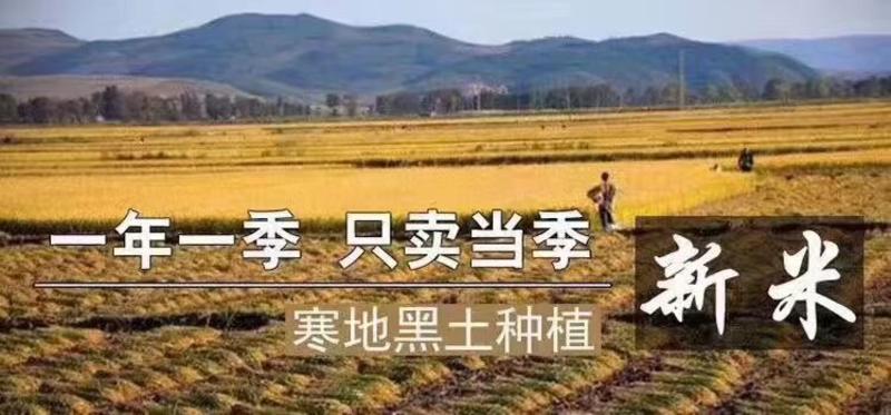 2023新米五常大米稻花香大米/货量充足全国发货