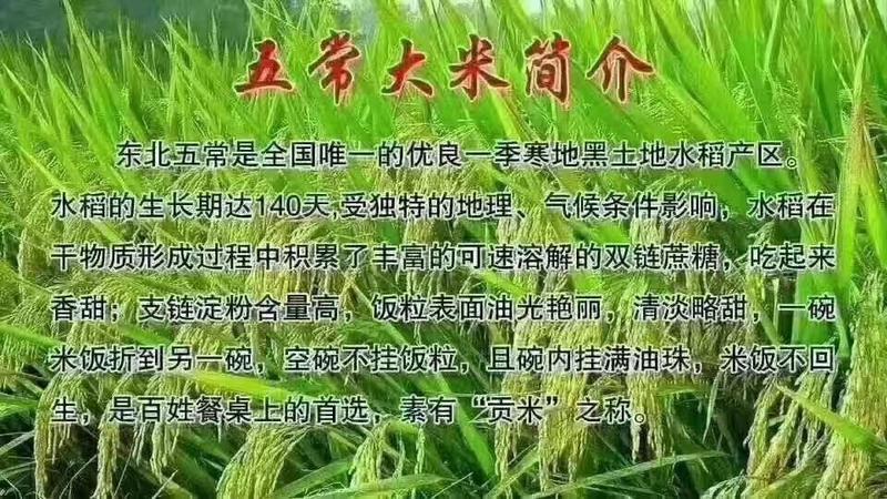 2023新米五常大米稻花香大米/货量充足全国发货