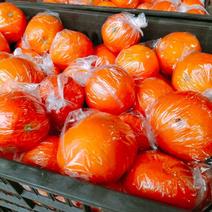 湘西优质【纽荷尔脐橙】百万亩主产地，随时更新产地行情价。