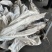 金枪鱼黄旗金枪鱼20KG/up大金枪鱼