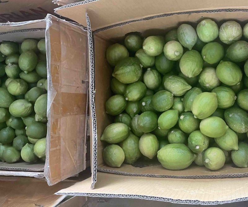 广东香水柠檬🍋二级果