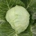 甘蓝，包菜，圆白菜