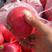 红皮水果萝卜大量供应中，一手货源，品质保证，可视频看货