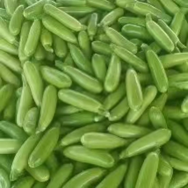 山东优质黄瓜