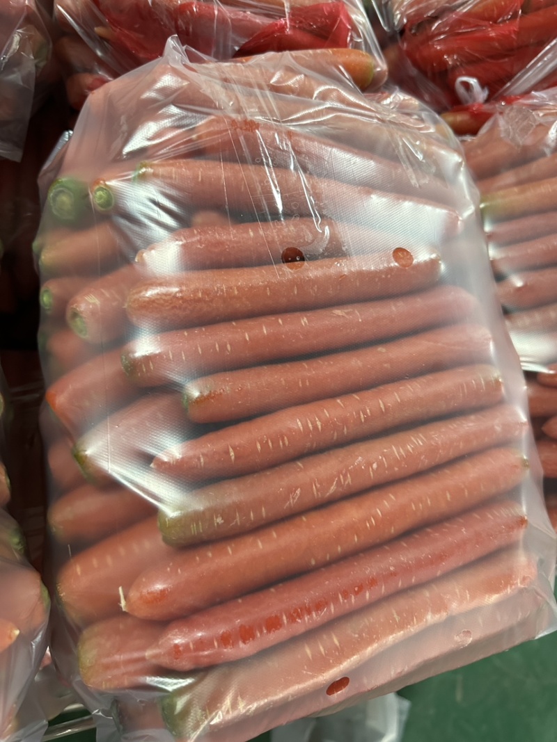 红萝卜产地精品工厂一手货源供应新鲜水果红萝卜欢迎批发