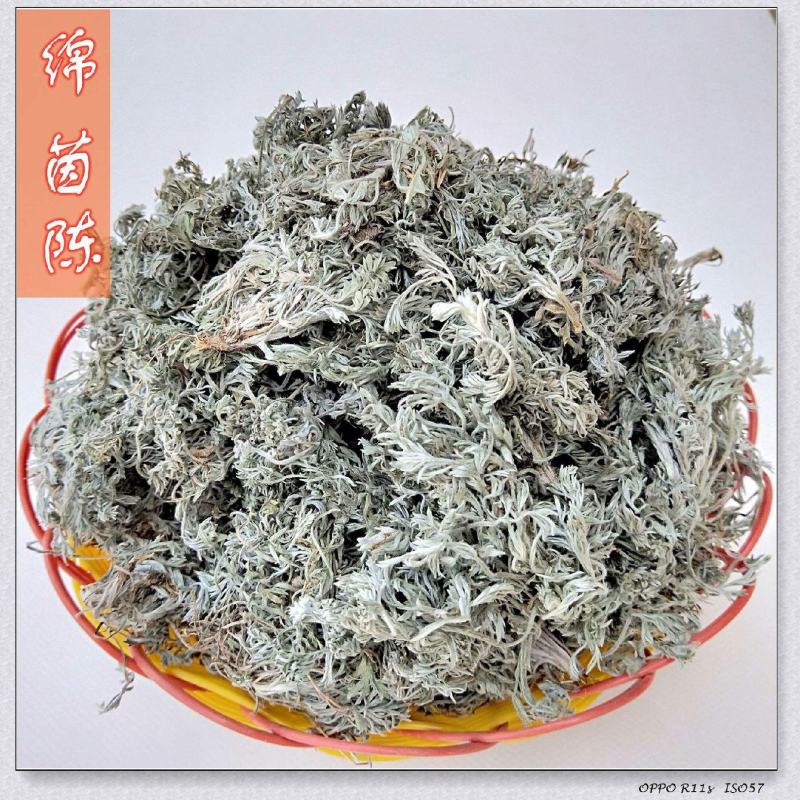 茵陈山东棉茵陈产地一手货源实拍有现货价格美丽24小时发货