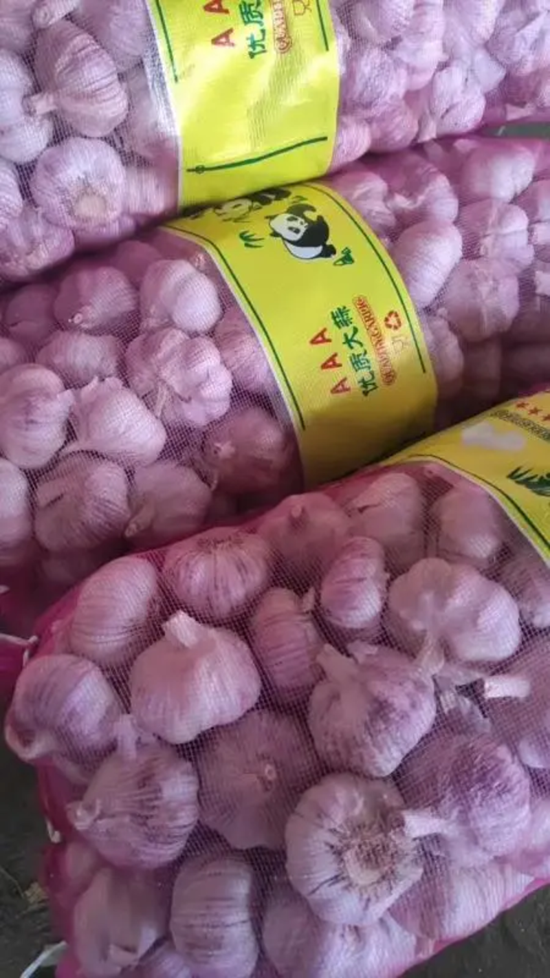 山东大蒜精品紫皮蒜供市场电商外贸全国发货货源充足