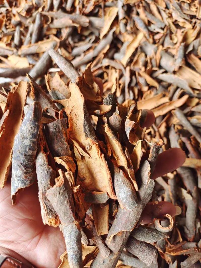 桂皮碎大量有货广西桂皮质好价优产地直发欢迎采购