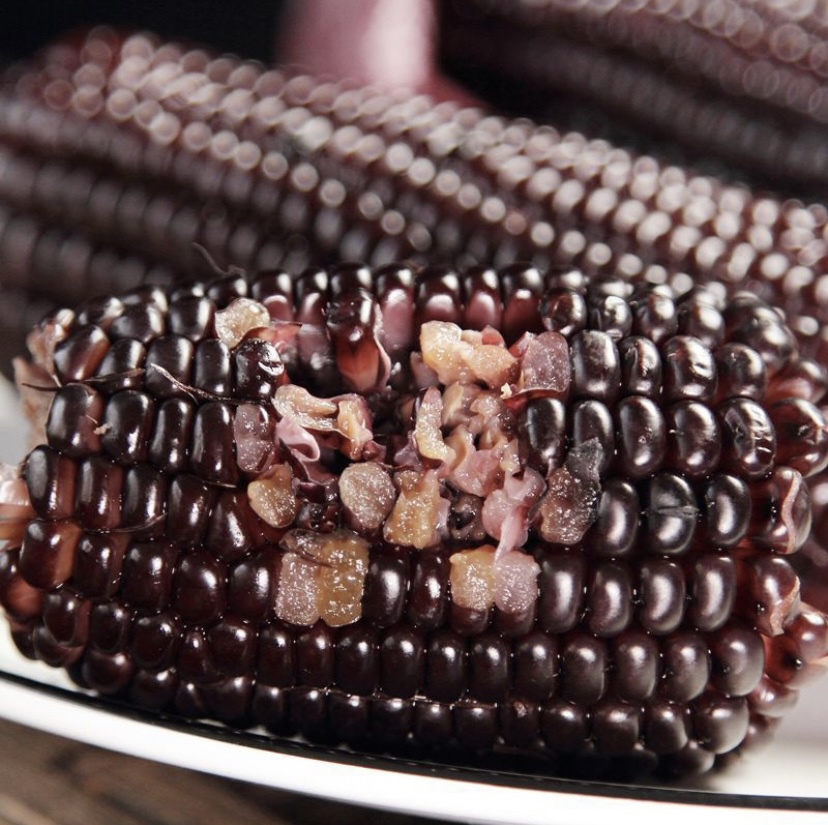 展示黑玉米与普通玉米的外观对比,突出籽粒颜色差异,玉米芯部分为白色 黑玉米与普通玉米对比图