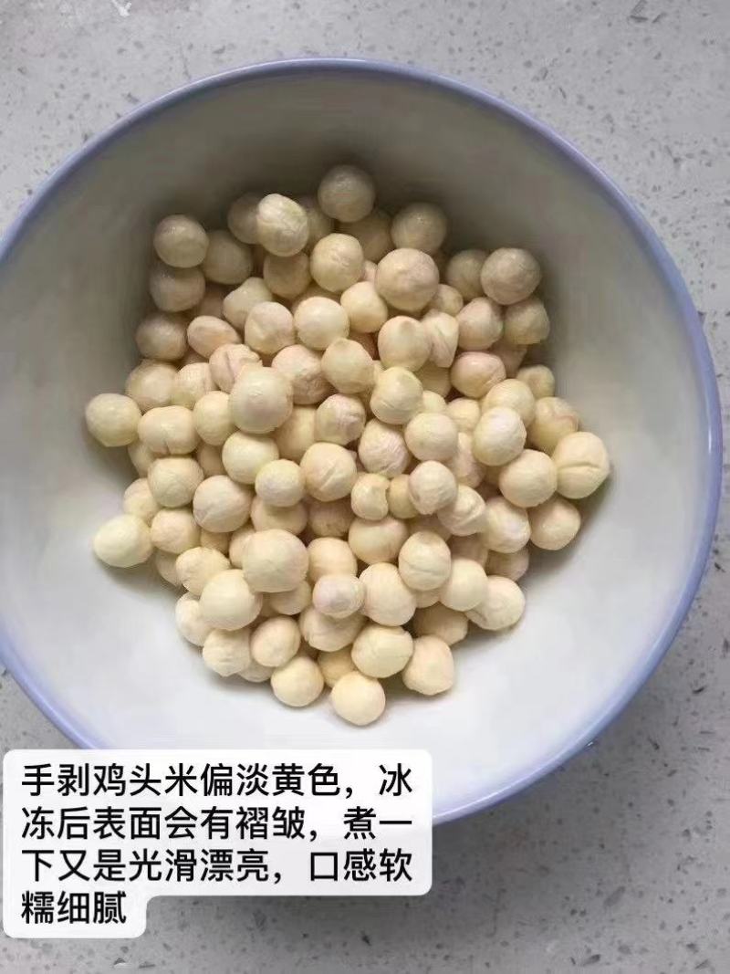 苏州南荡群力鲜鸡头米芡实米产地直发欢迎联系