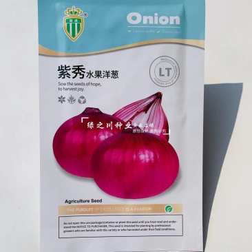 紫秀水果洋葱种子口感甜脆微辣中熟紫皮洋葱种子耐储存