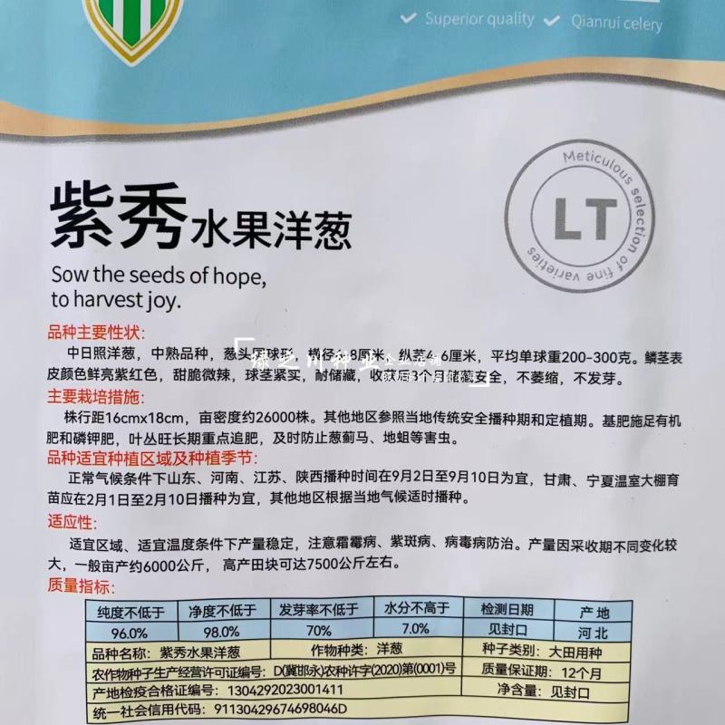 紫秀水果洋葱种子口感甜脆微辣中熟紫皮洋葱种子耐储存