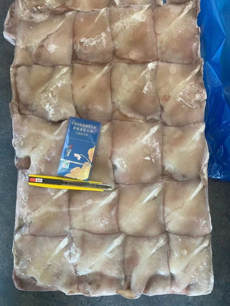 新鲜大鱿鱼尾鱿鱼耳朵耳片鱿鱼片商用鱿鱼尾铁板烧馅饼自助餐