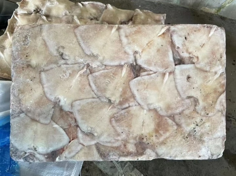 新鲜大鱿鱼尾鱿鱼耳朵耳片鱿鱼片商用鱿鱼尾铁板烧馅饼自助餐