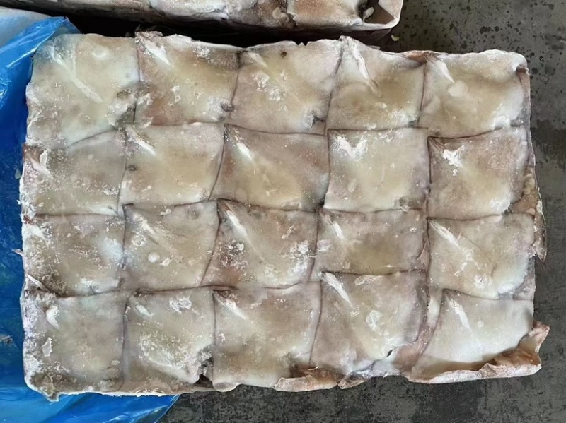 新鲜大鱿鱼尾鱿鱼耳朵耳片鱿鱼片商用鱿鱼尾铁板烧馅饼自助餐