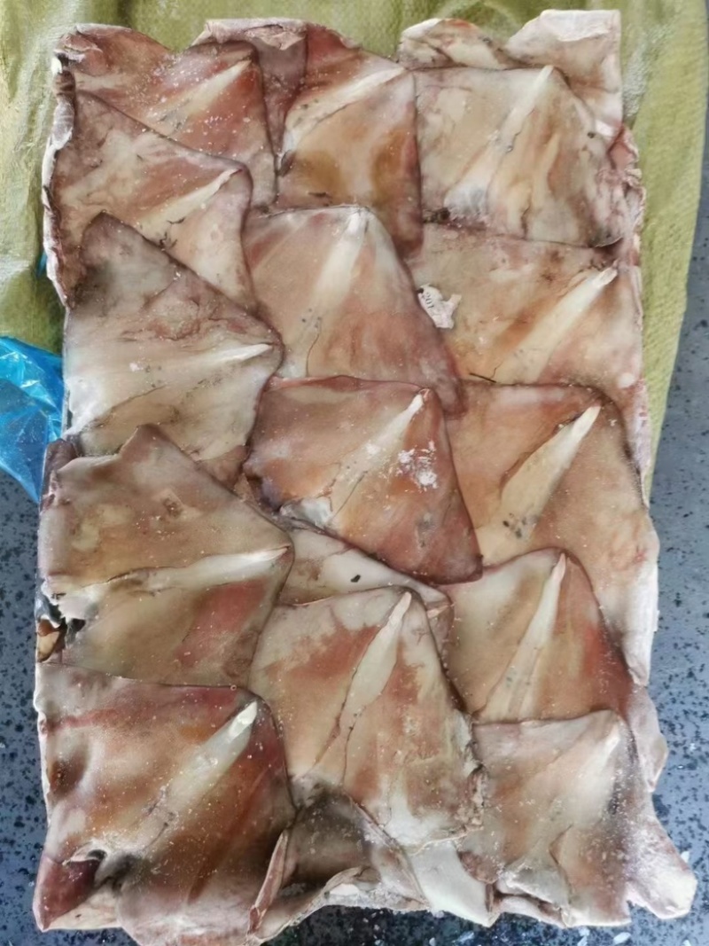 新鲜大鱿鱼尾鱿鱼耳朵耳片鱿鱼片商用鱿鱼尾铁板烧馅饼自助餐