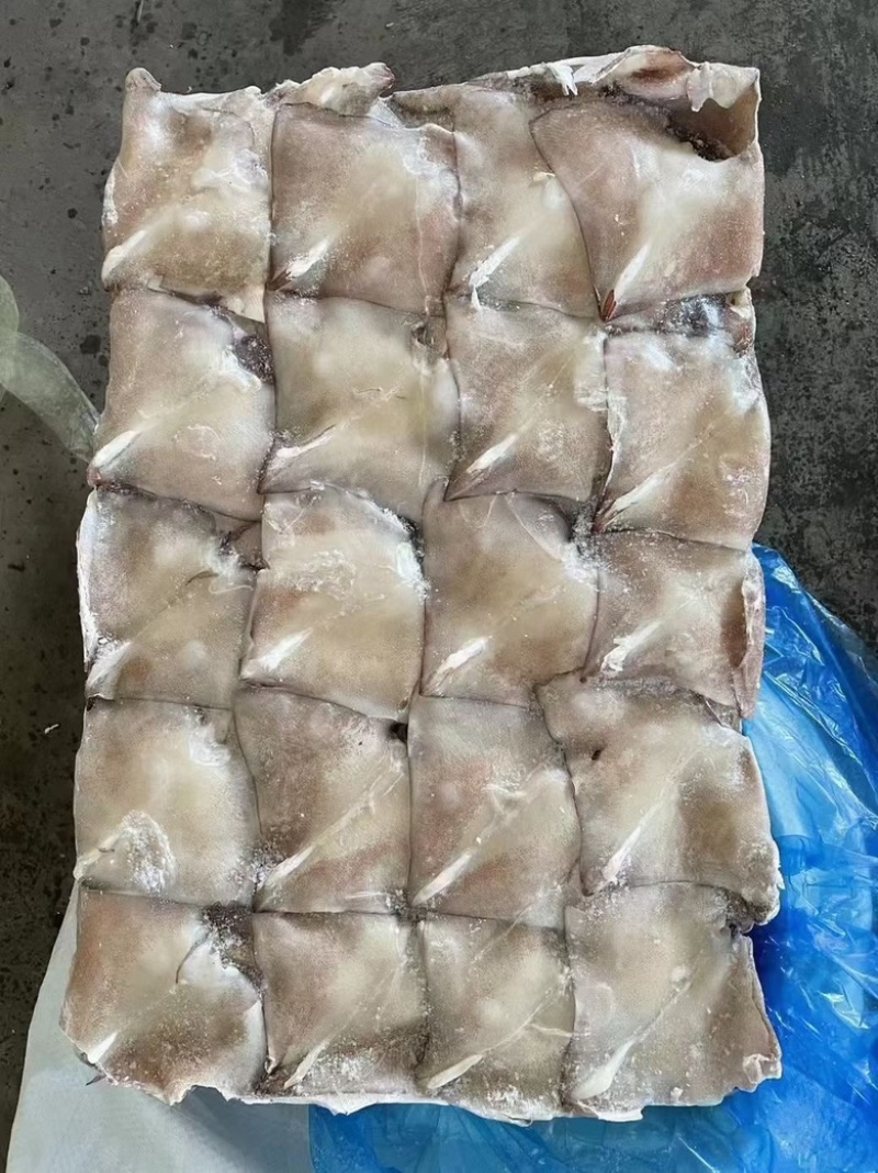 新鲜大鱿鱼尾鱿鱼耳朵耳片鱿鱼片商用鱿鱼尾铁板烧馅饼自助餐