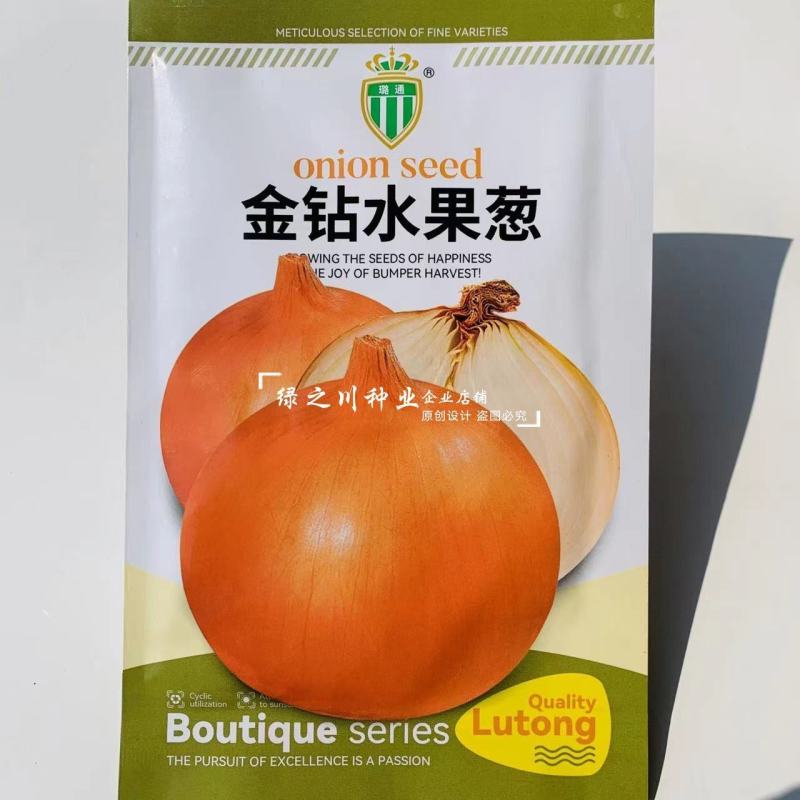 金钻水果葱洋葱种子黄皮圆葱种子甜脆微辣圆球型黄皮洋葱种子