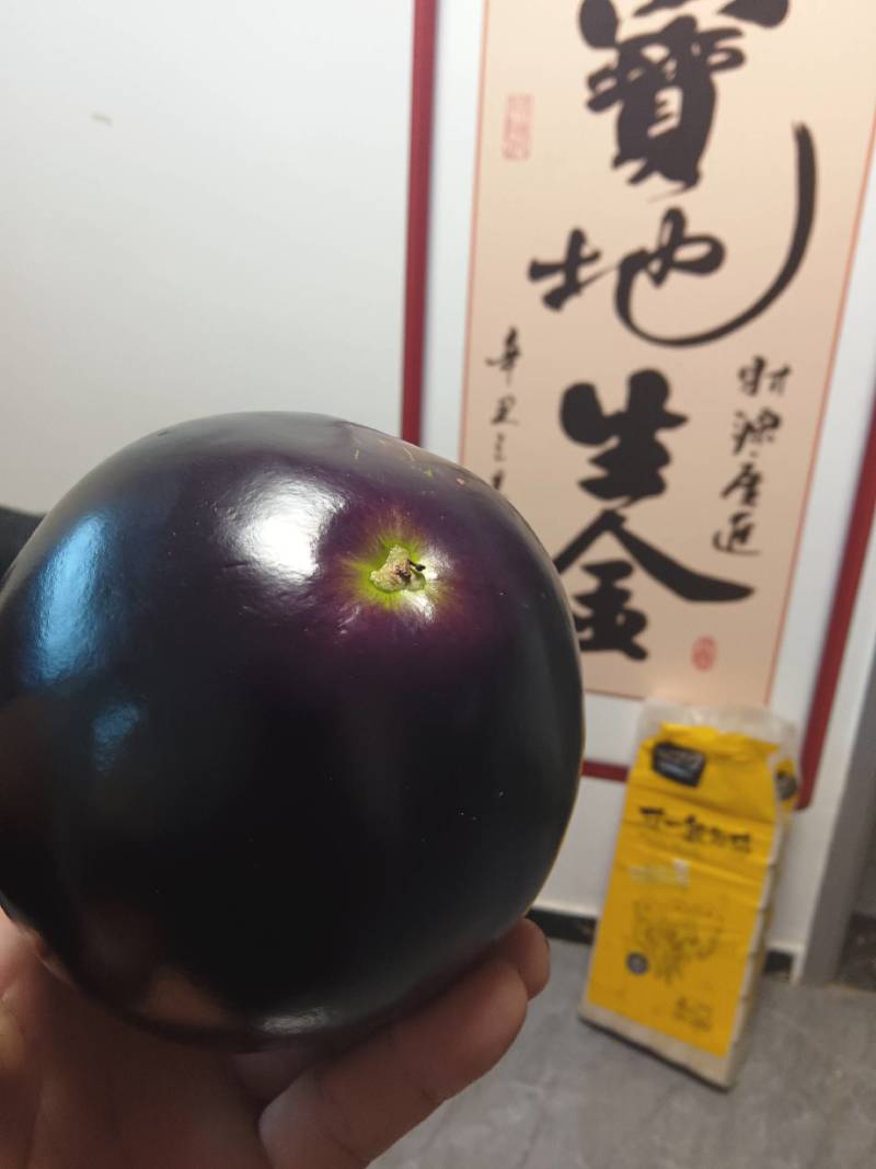 精品紫光圆茄