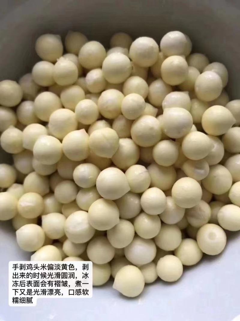 苏州新鲜芡实米鸡头米产地直发品质保证量大从优