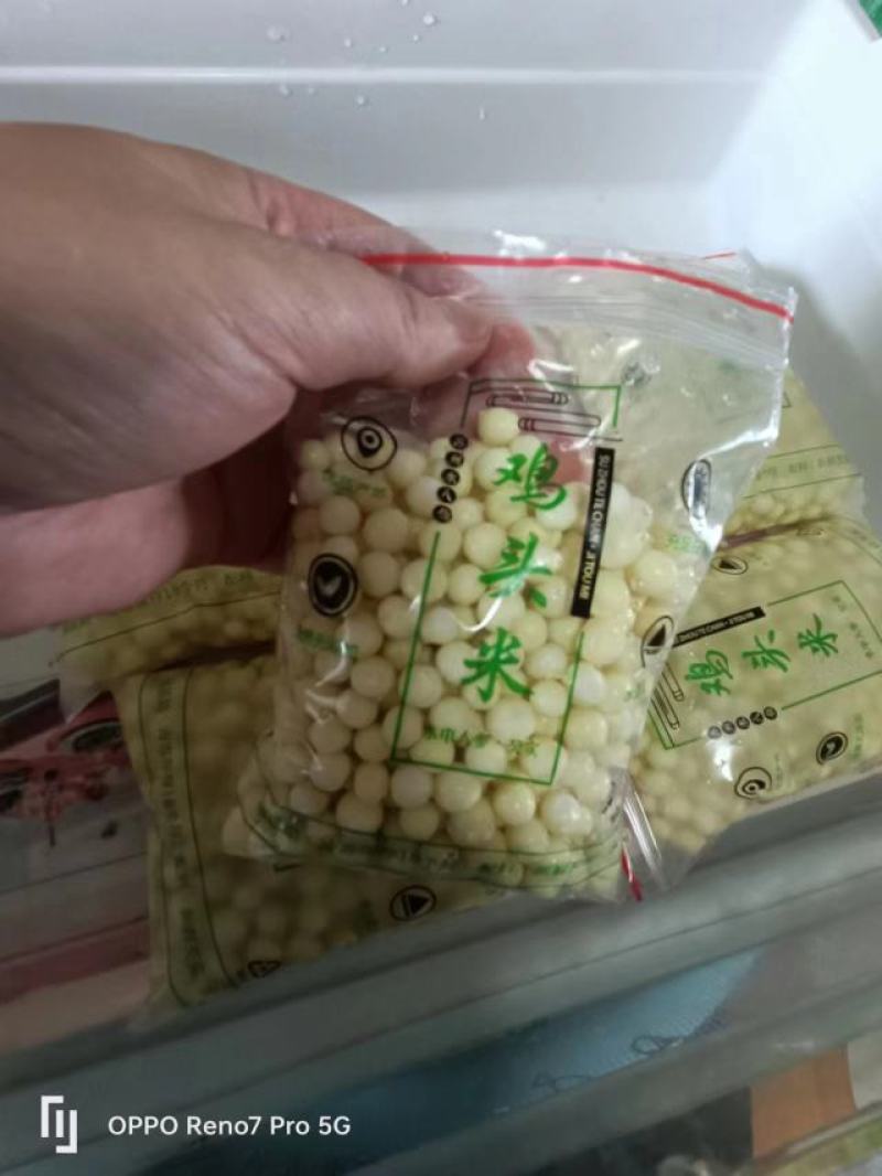 苏州新鲜芡实米鸡头米产地直发品质保证量大从优