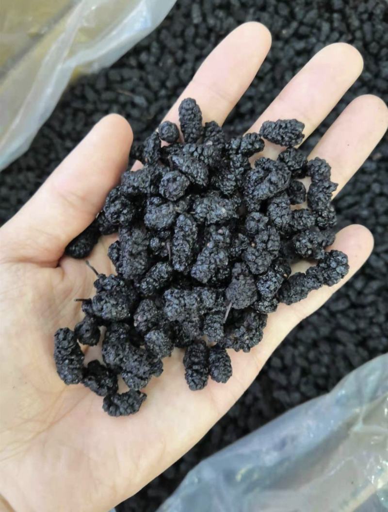 桑椹，桑椹干，无硫无熏蒸水洗无杂质药食同源，新货实拍现货