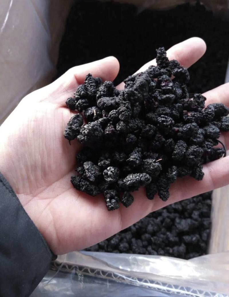 桑椹，桑椹干，无硫无熏蒸水洗无杂质药食同源，新货实拍现货