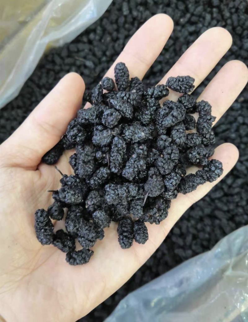 桑椹，桑椹干，无硫无熏蒸水洗无杂质药食同源，新货实拍现货