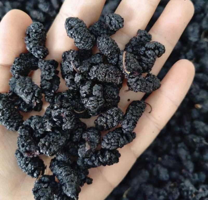 桑椹，桑椹干，无硫无熏蒸水洗无杂质药食同源，新货实拍现货