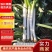 【铁杆大葱】葱段铁杆大葱山东大葱日本葱毛葱净葱精品葱脱水