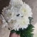菊花白菊花黄菊花祭祀菊花清明菊花花店殡仪