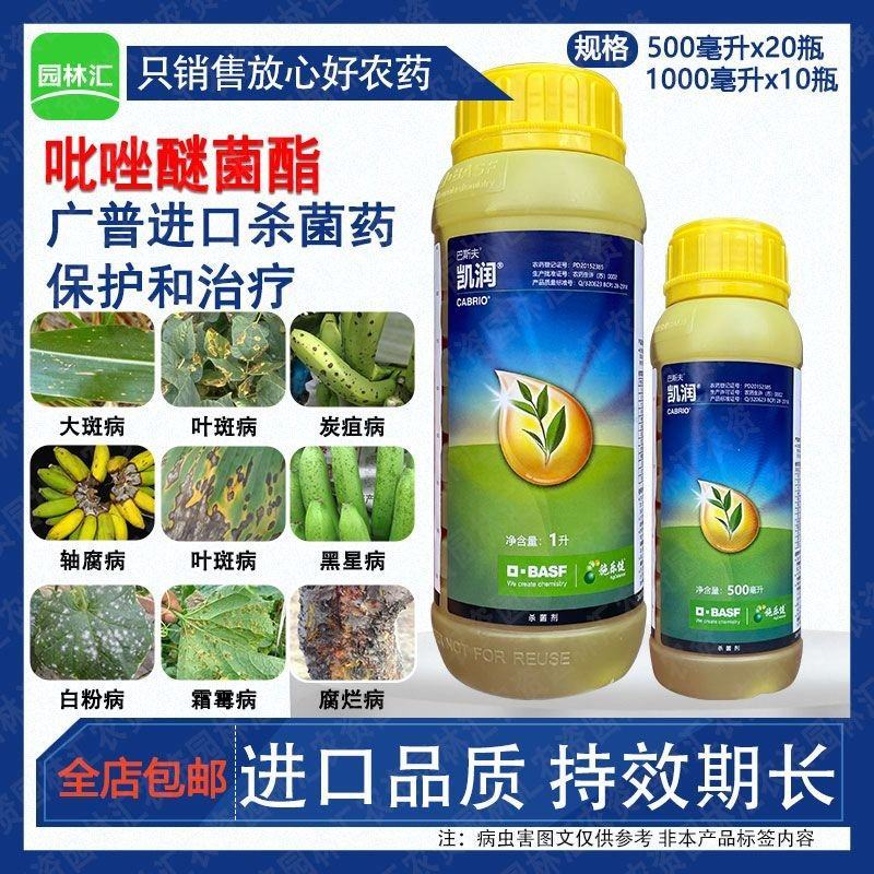 巴斯夫凯润吡唑醚菌酯脂进口杀菌药霜霉病炭疽病大斑病白粉病