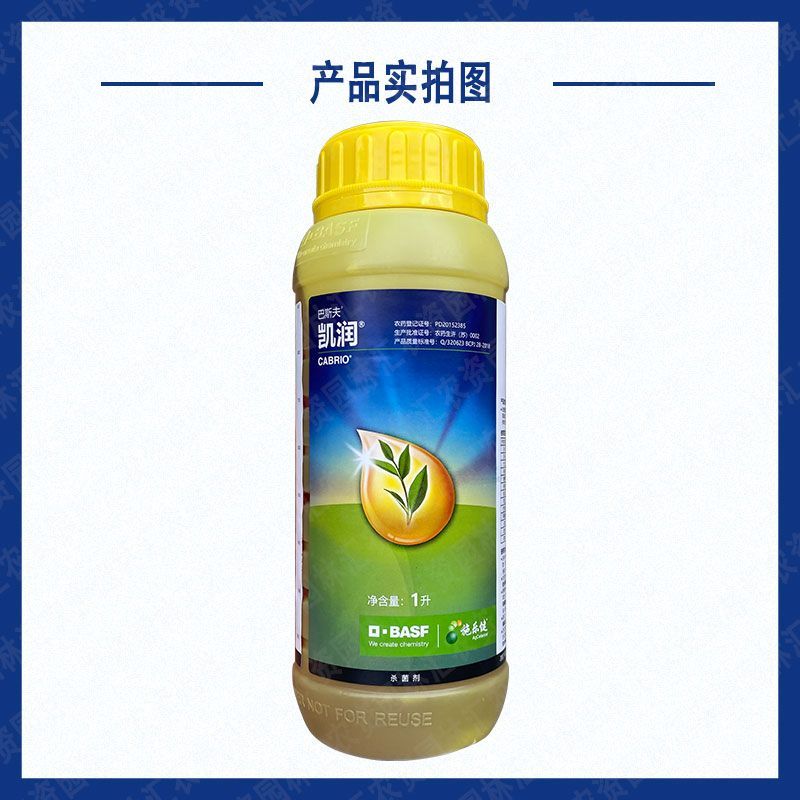 巴斯夫凯润吡唑醚菌酯脂进口杀菌药霜霉病炭疽病大斑病白粉病