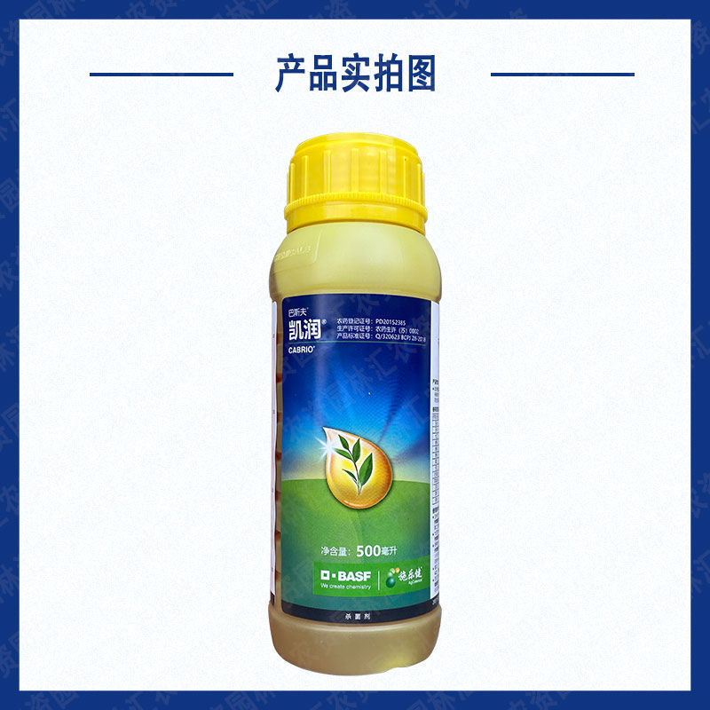 巴斯夫凯润吡唑醚菌酯脂进口杀菌药霜霉病炭疽病大斑病白粉病