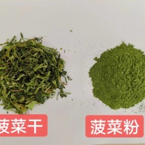 山东聊城乐农食品脱水蔬菜脱水菠菜干菠菜粉批发源头厂家供应