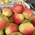 河北红星苹果品质保证诚信经营欢迎联系接商超市场电商