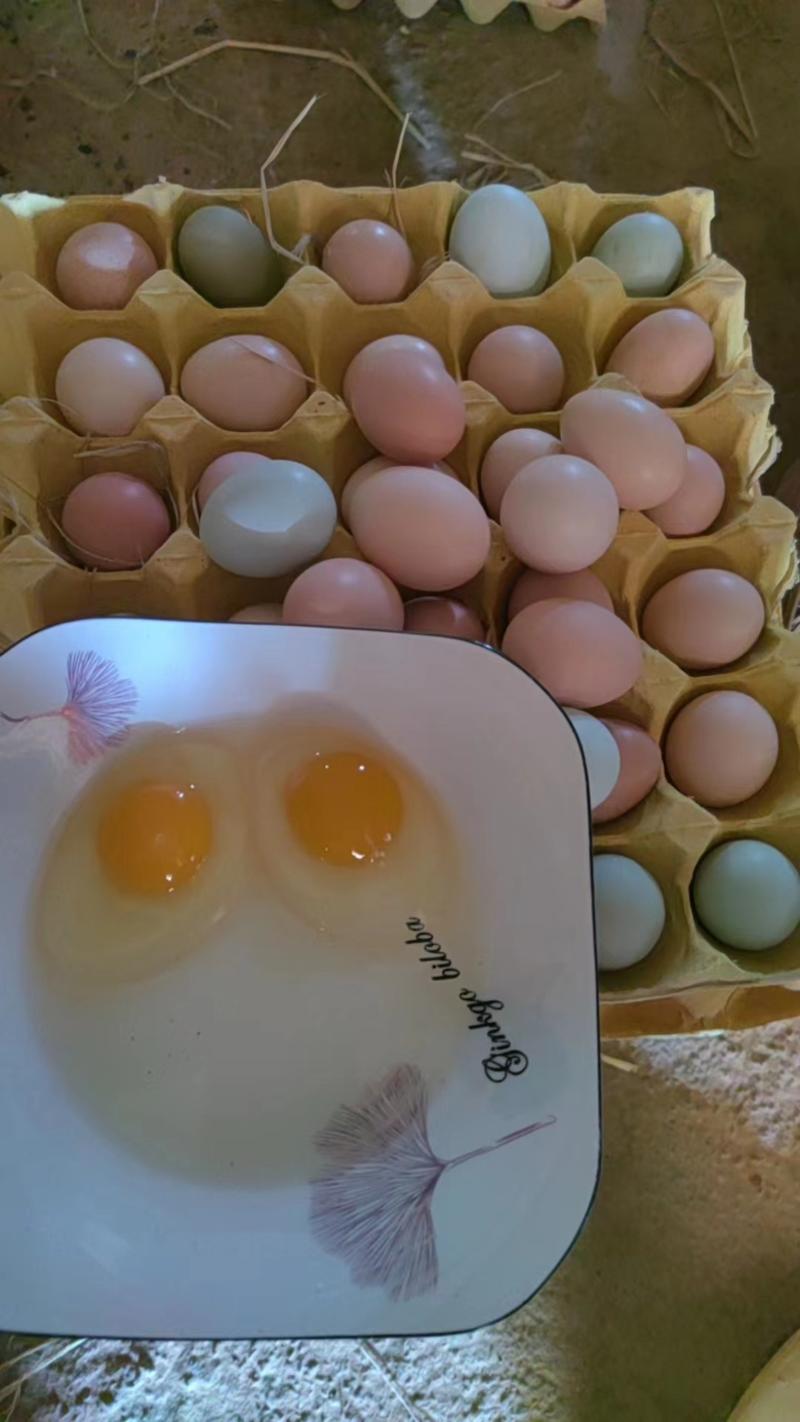 【自家养殖】土鸡蛋，口感香甜价格优惠，欢迎采购
