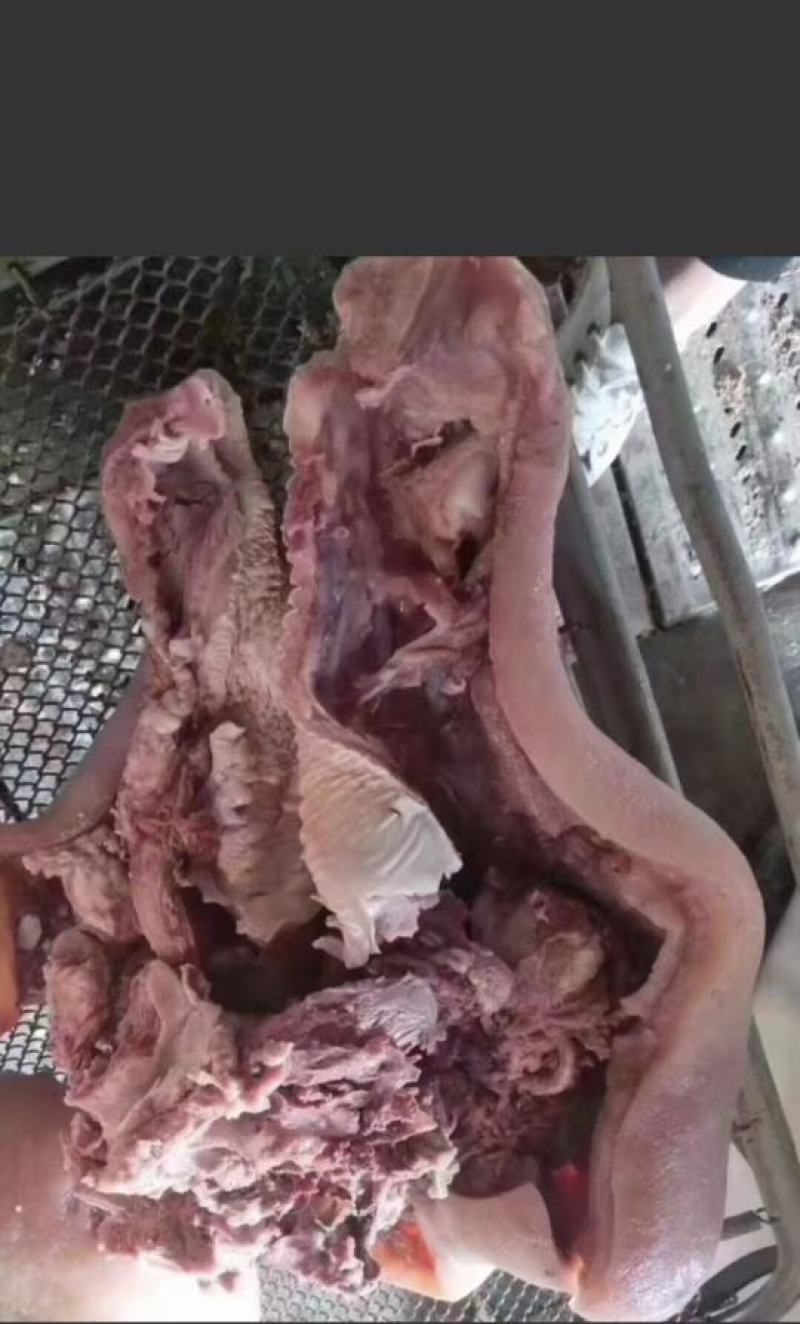 优质清真牛头肉，带皮牛头肉，支持全国发货欢迎咨询