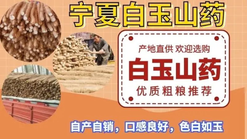 大量供应宁夏沙漠白玉面山药，新货上市产地直销，价格美丽