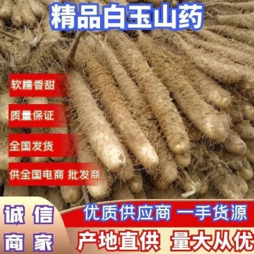 精品山药白玉山药，条形直，颜色好，特别粉，纯沙地