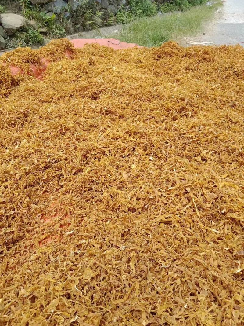 竹笋干货烤干质量好货颜色好干度够批发零售
