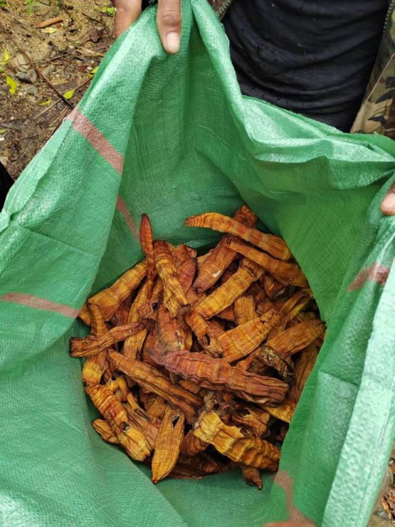 竹笋干货烤干质量好货颜色好干度够批发零售