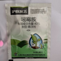 沪联灰飞嘧霉胺40%黄瓜灰霉病杀菌剂农药