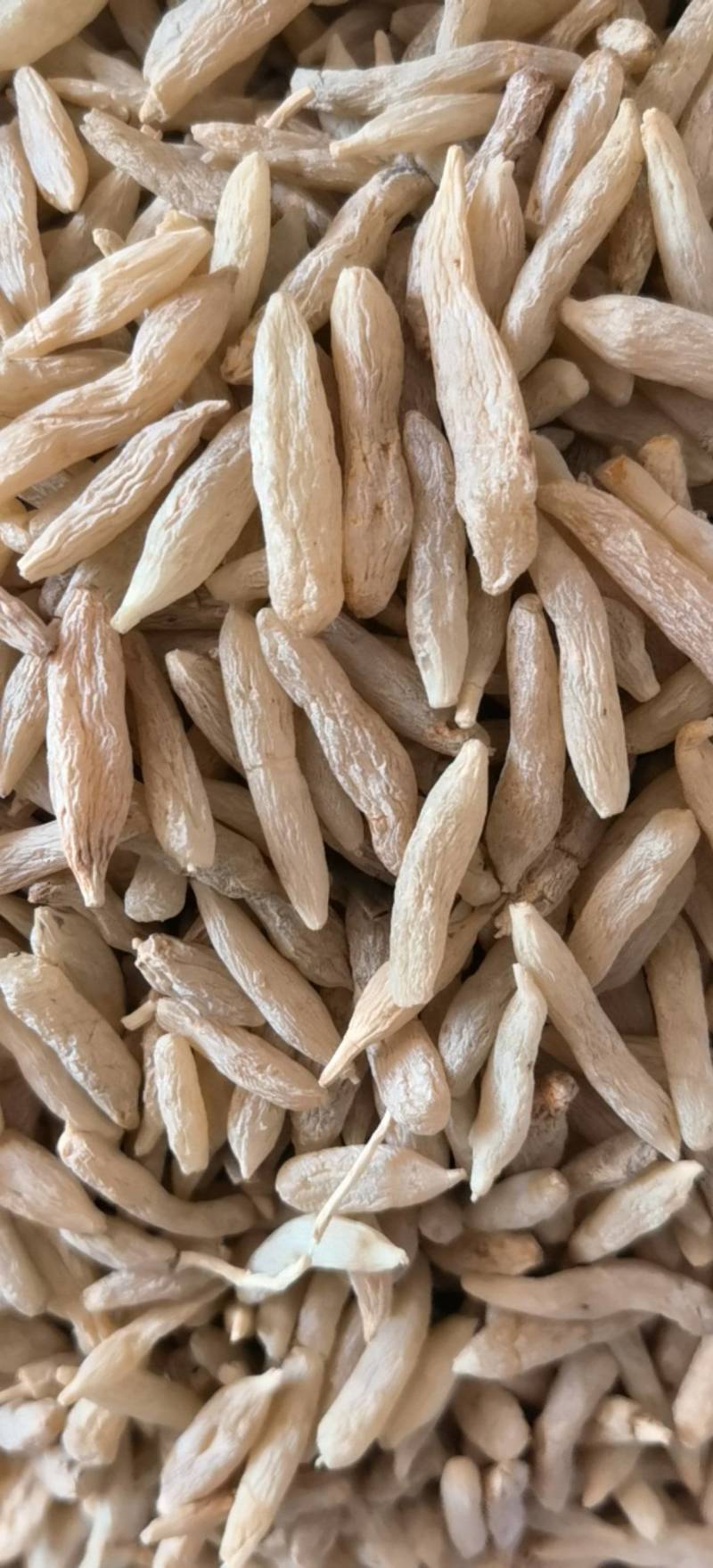 麦冬川麦冬精选货关书药业批发中药材1000g起批